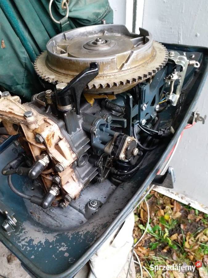 Na rozrusznikSilnik zaburtowy 18 Evinrude Gorzów Wielkopolski