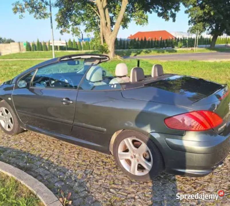 Peugot 307cc Borów