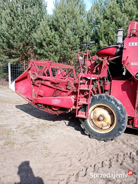 Massey Ferguson 31 łódzkie Antonielów