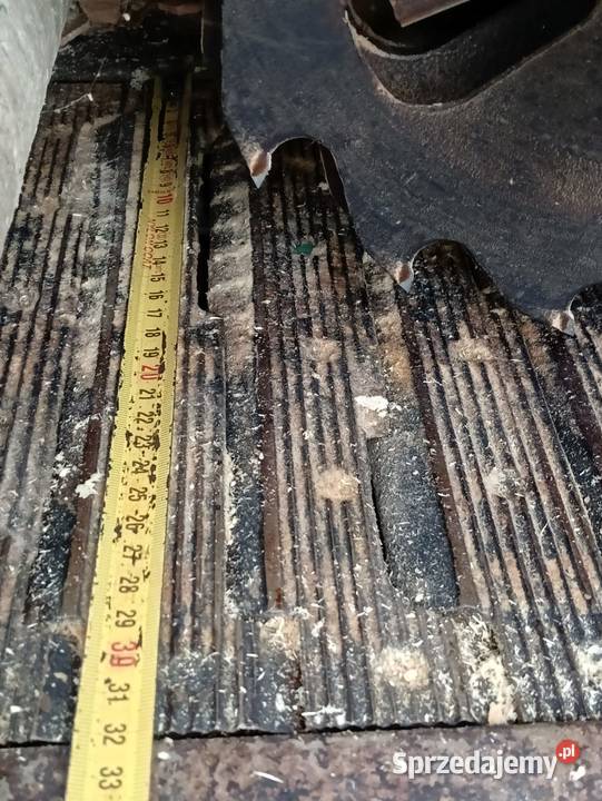 Wielopiła gąsienicowa zakłady leśnictwa Wejherowo