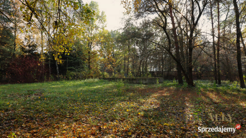 sprzedaży działki Zambski Kościelne 1685m2