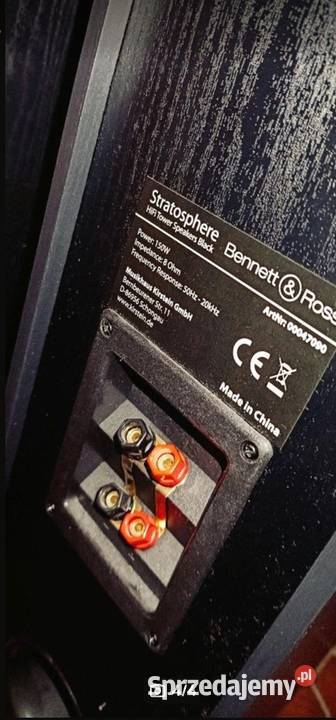 Głośniki stojące kolumny podłogowe Bennett Ross Słuchawki i głośniki podkarpackie Rzeszów