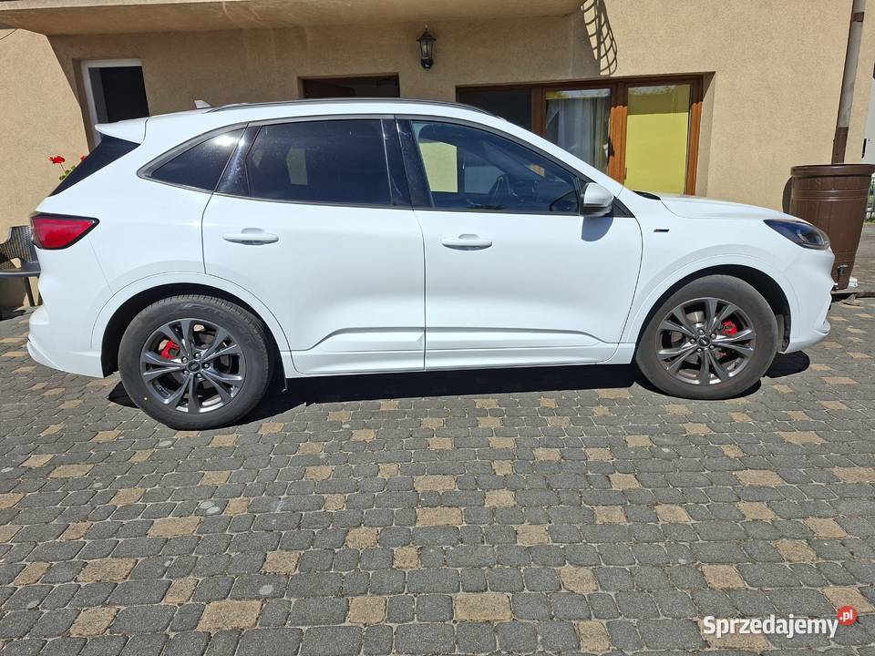 Ford Kuga St Line 20mh eco blu 2022 pomorskie Krokowa
