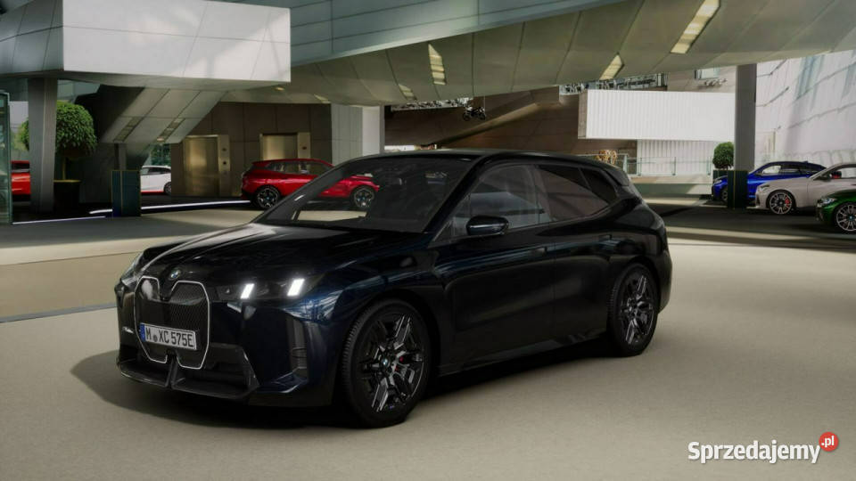 BMW iX iX xDrive45 Dostępne ręki Łódź
