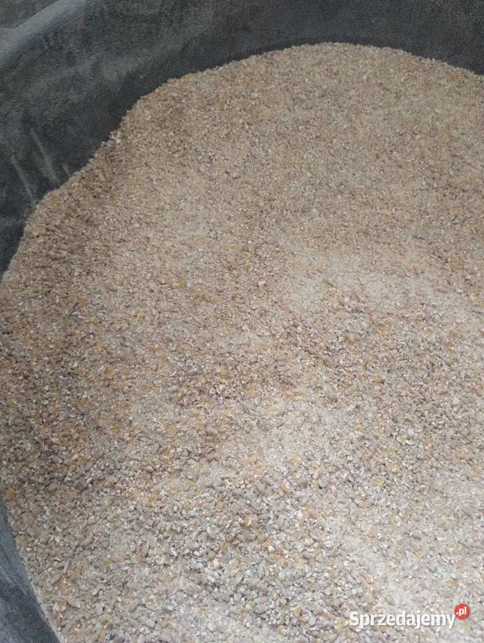 Mieszanka śruta kukurydza z pszenicą