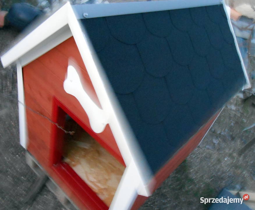 Duża buda psa Grabów nad Prosną