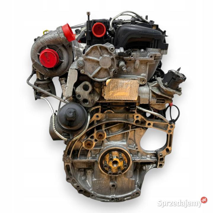 SILNIK KOMPLETNY G8DD Ford Focus II MK2 C C 16 osobowe Chełm sprzedam