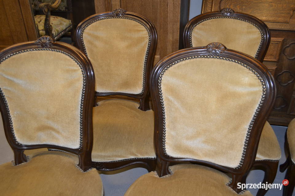 krzesła ludwikowskie ramy ciemny orzech welur Będzin