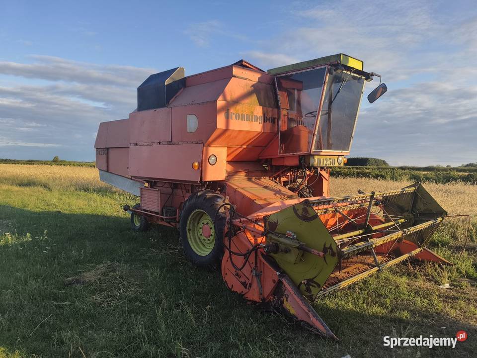 Dronningborg d1250 łódzkie Rawa Mazowiecka