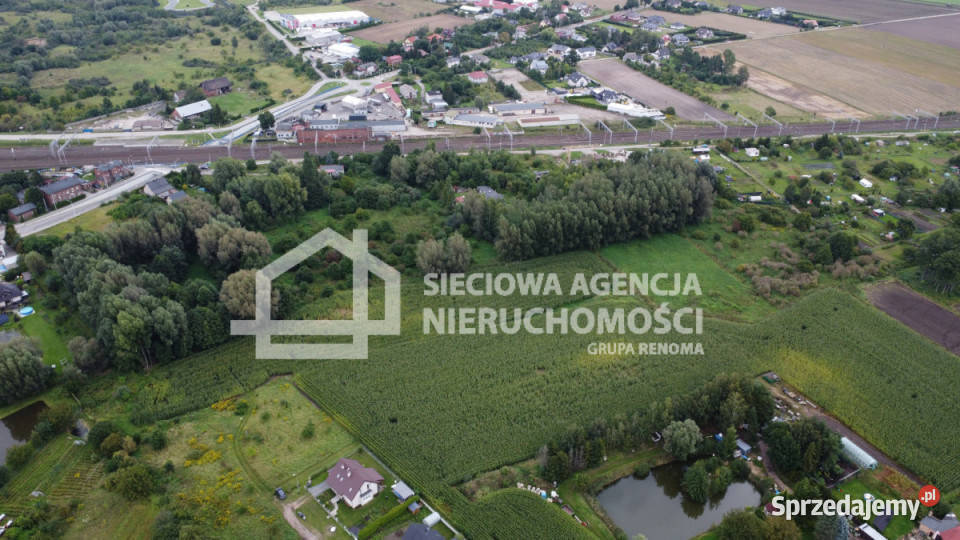 Działka Pszczółki 11570m 245m