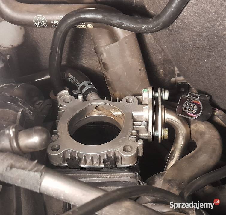 uszczelka EGR VAG 036131550A golf polo fabia osobowe Warszawa