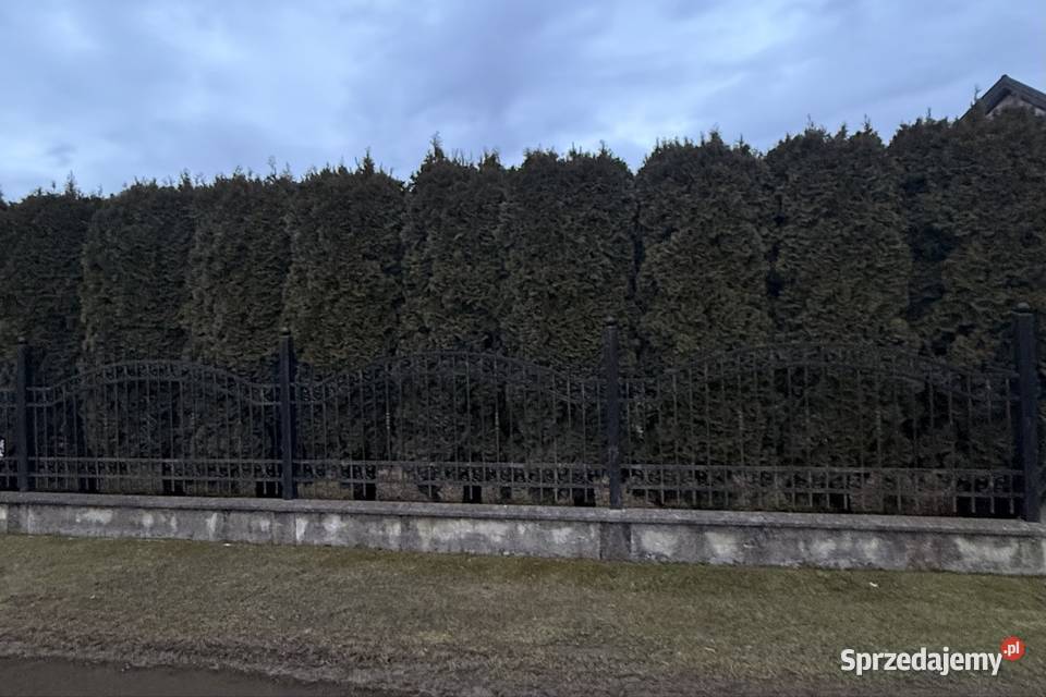 Ogrodzenie kute Ogrodzenia i bramy Nowy Sącz