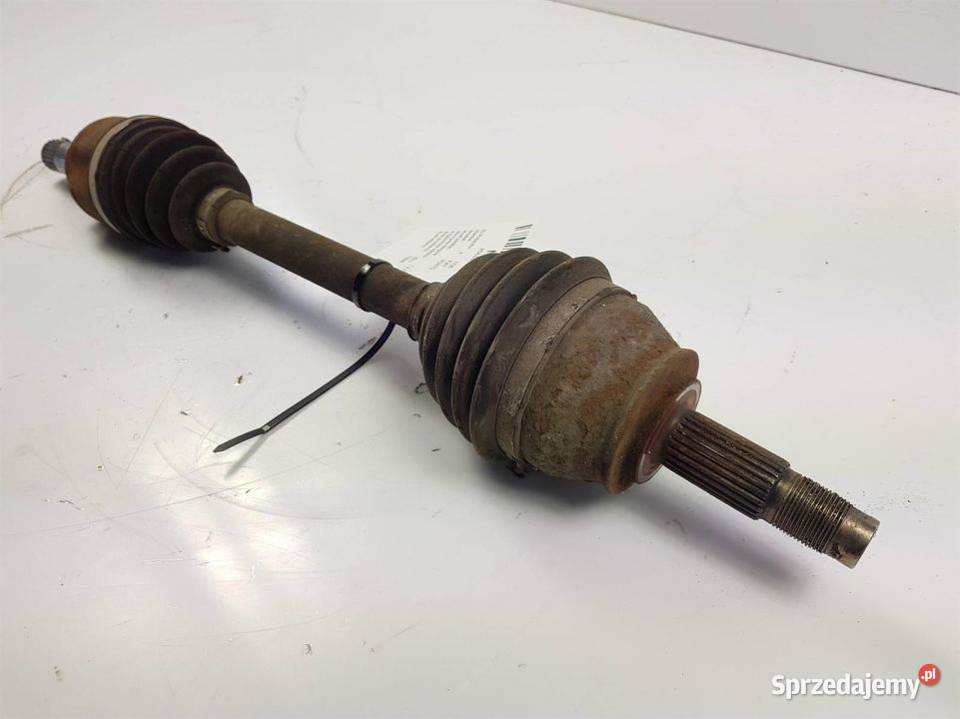 PÓŁOŚ LEWA PRZÓD PUNTO kujawsko-pomorskie Lipno