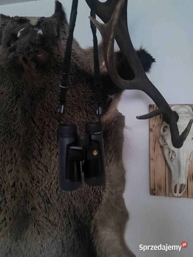 Lornetka 10x52 leupold BX2 AlpineHD Lornetki i teleskopy podkarpackie Mielec