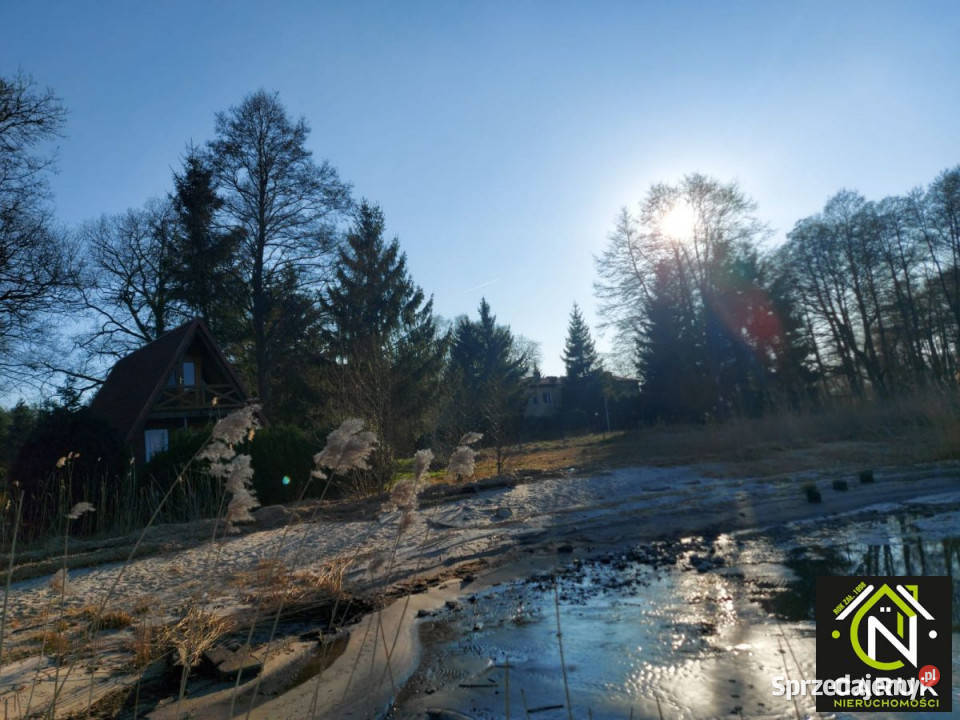 Ogłoszenie działka 5011m2 Brzózki sprzedam