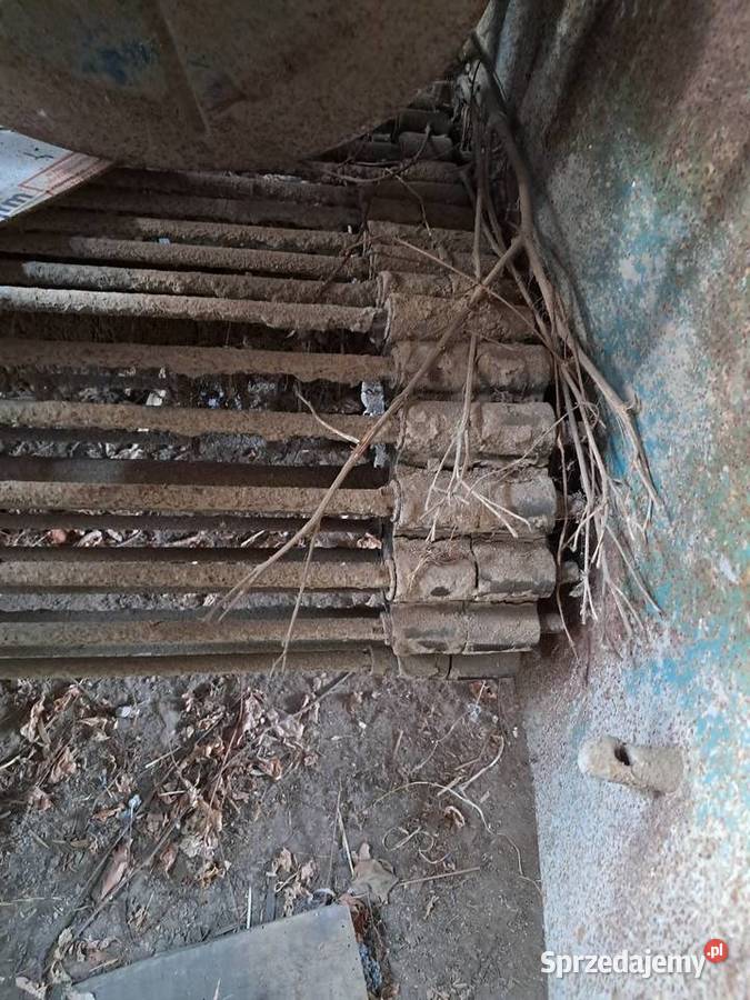 Kopaczka elewatorowa do ziemniaków Lublin