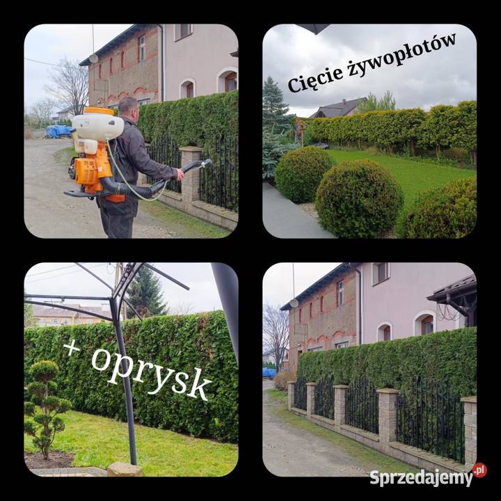 Usługa ogród Choszczno