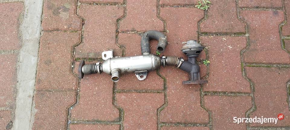 Chłodnica spalin EGR 9639874380 Peugeot 20 HDI Szczecin