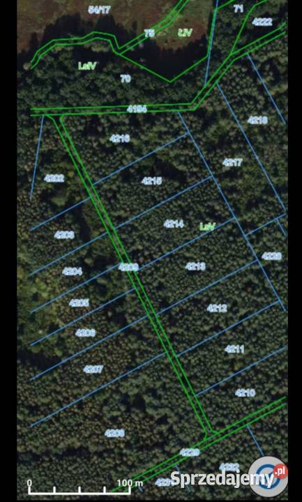 Działka z lasem Siemiatycze