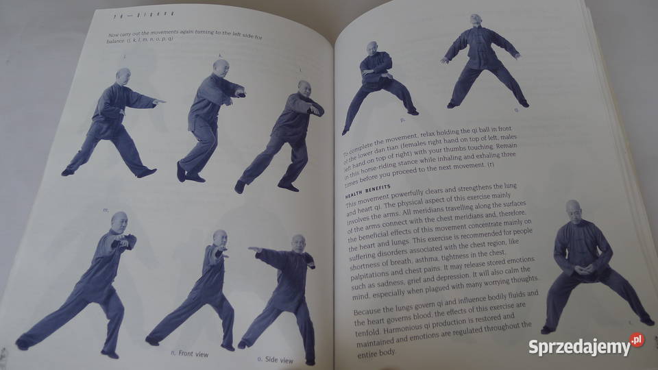 HOWARD CHOY Siu Lohan Qigong Chi KungChoy Lee Radom sprzedam