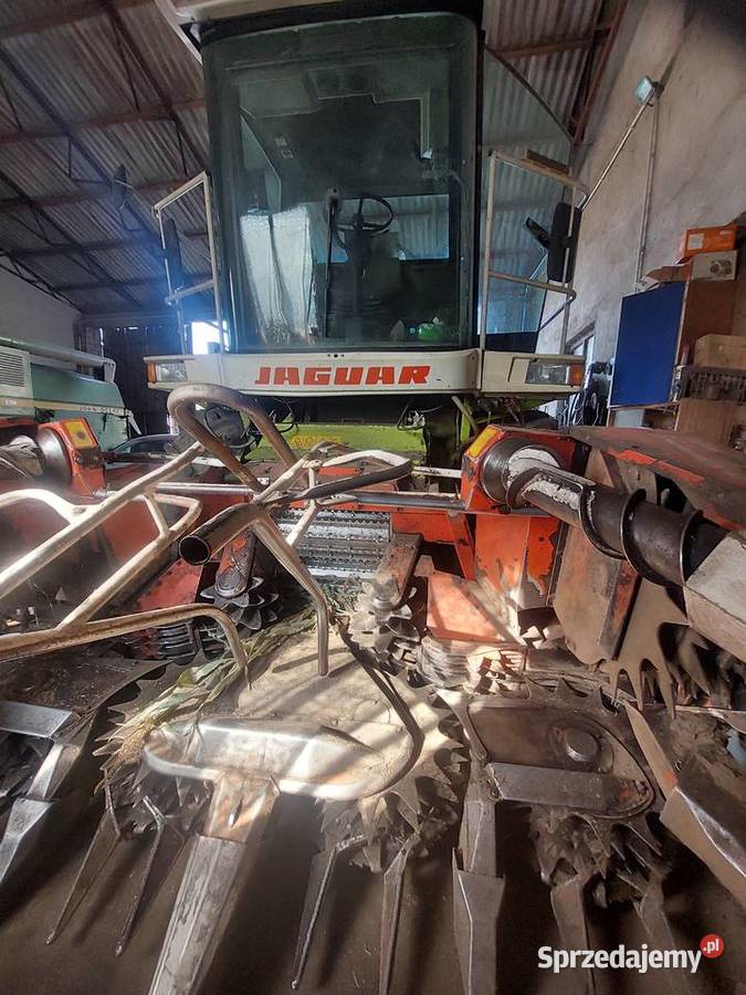 Claas jaguar 860 sieczkarnia Pozostałe Ciechocin