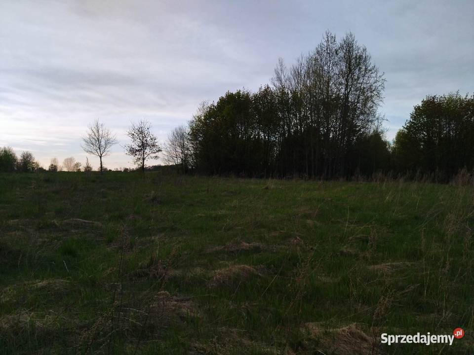 Działka budowlana z dostępem do linii brzegowej Lesiska sprzedam