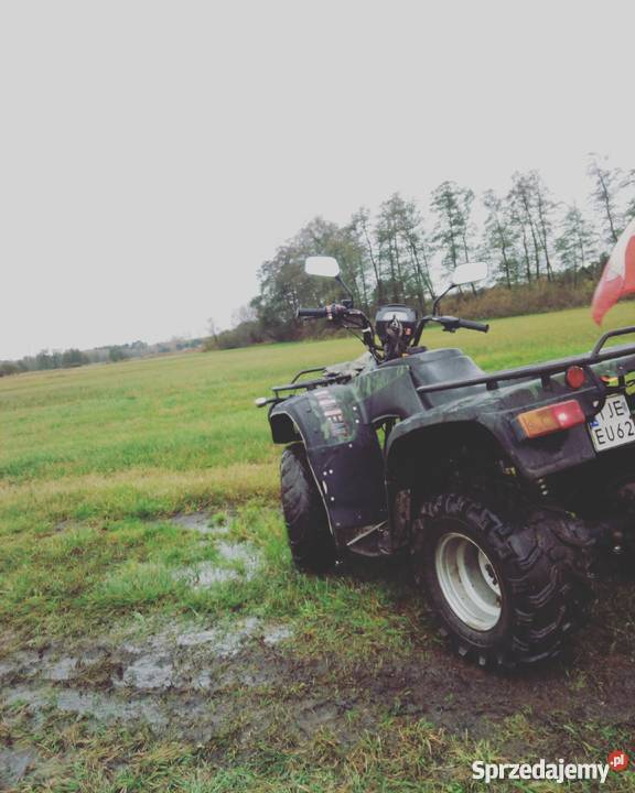 Quad BS250s5 PRZEPRAWOWY Wyciągarka PŁUG Nego zielony Pozostałe