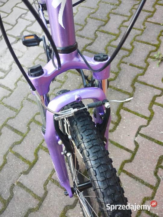 nowy Spezialized 24 kujawsko-pomorskie Wąbrzeźno