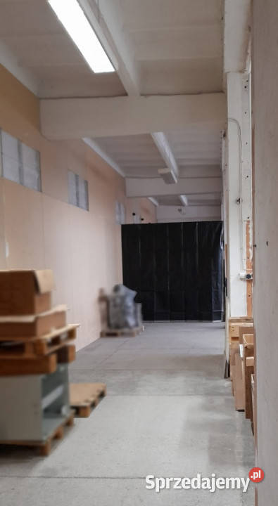 Lokal magazynowyusługowy winda Zagnańska 71 w Kielce
