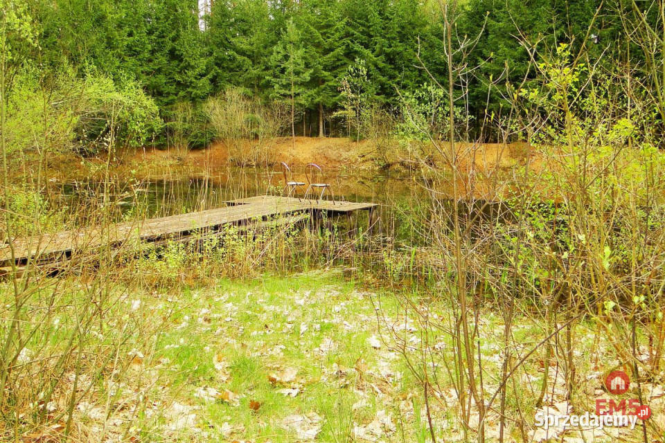 Grunt 8316m2 Rafałówka 187zł/m2