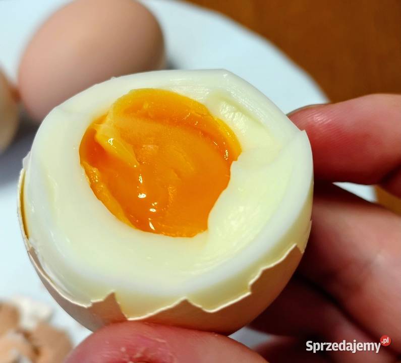 Jajka kurze z wolnego wybiegu Mizerów