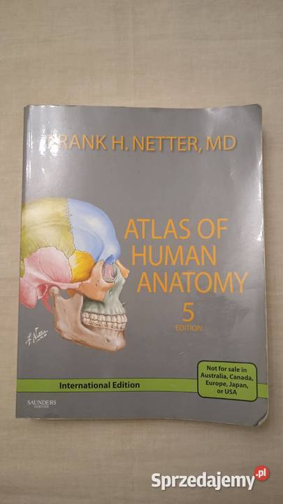 Atlas of Human Anatomy Frank Netter Warszawa