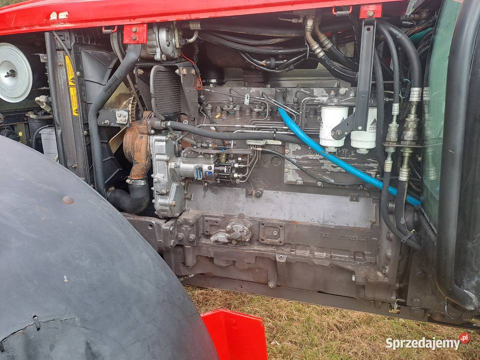 Massey Ferguson 6150 6160 Chełm
