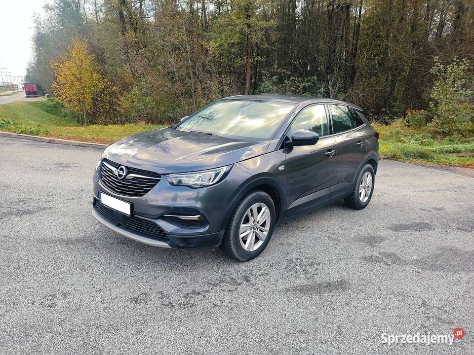 Opel Grandland 2021 POLSKI SALON BADANIA HIT manualna Białystok