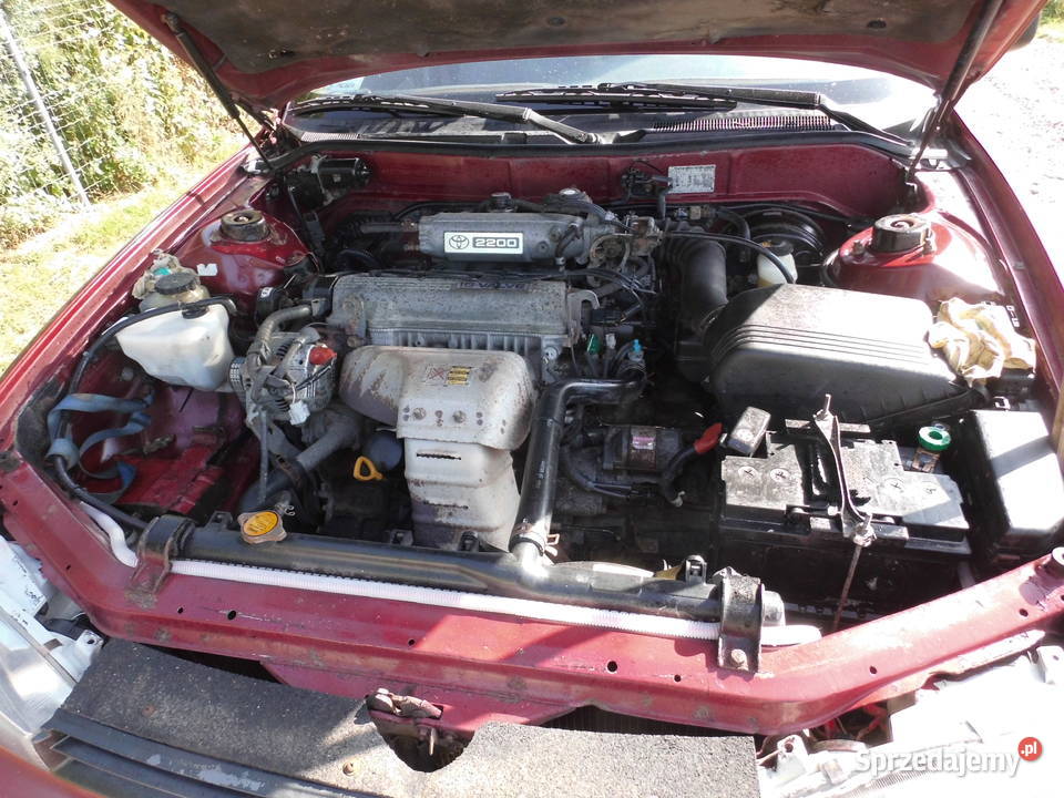 Toyota Camry Combi 94 Kaźmierz