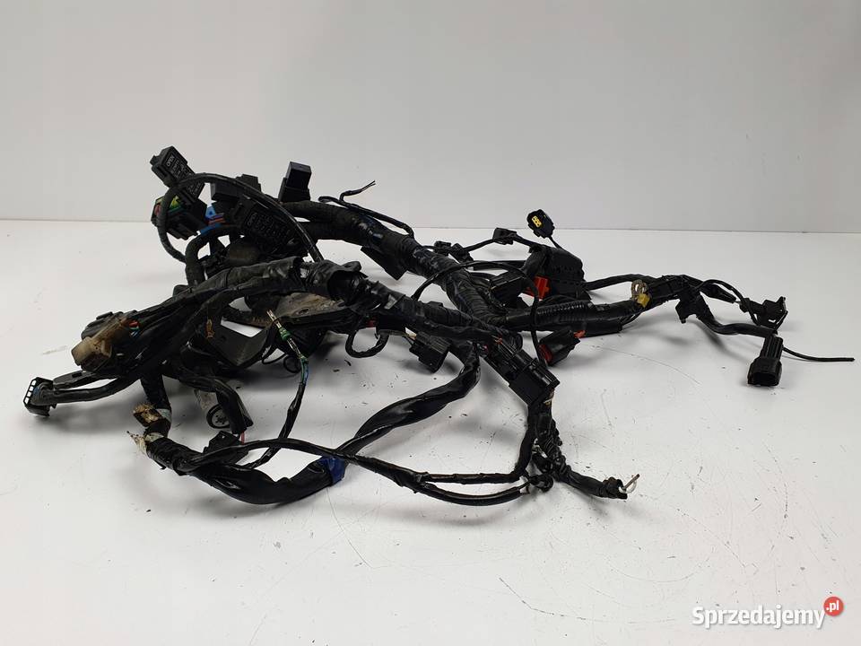 WIĄZKA ELEKTRYCZNA SILNIKA Triumph Speed Triple lubelskie Chełm