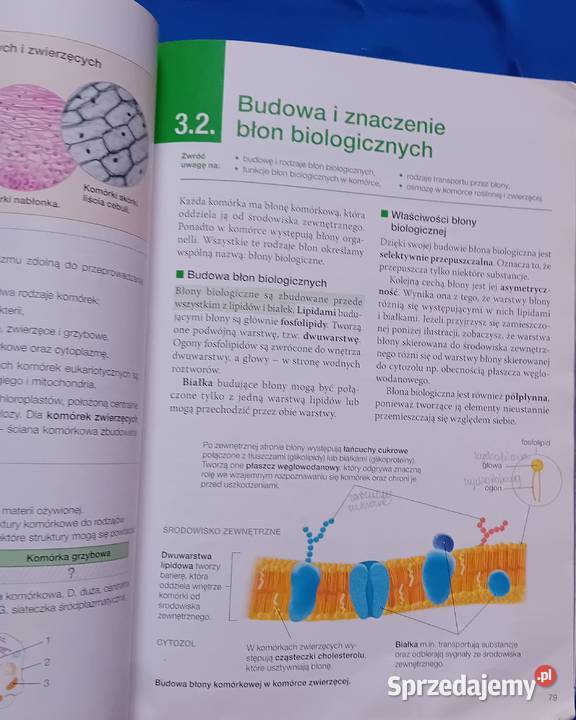 Biologia na czasie1 Zakr podstawowy Liceum i Książki i Podręczniki sprzedam