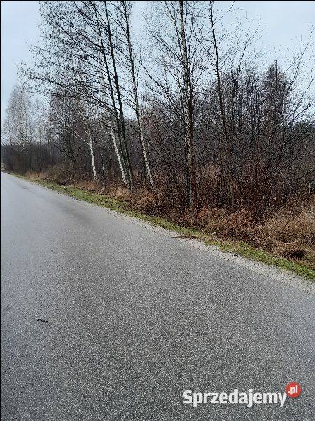 Bieganów Poziomkowa 100m