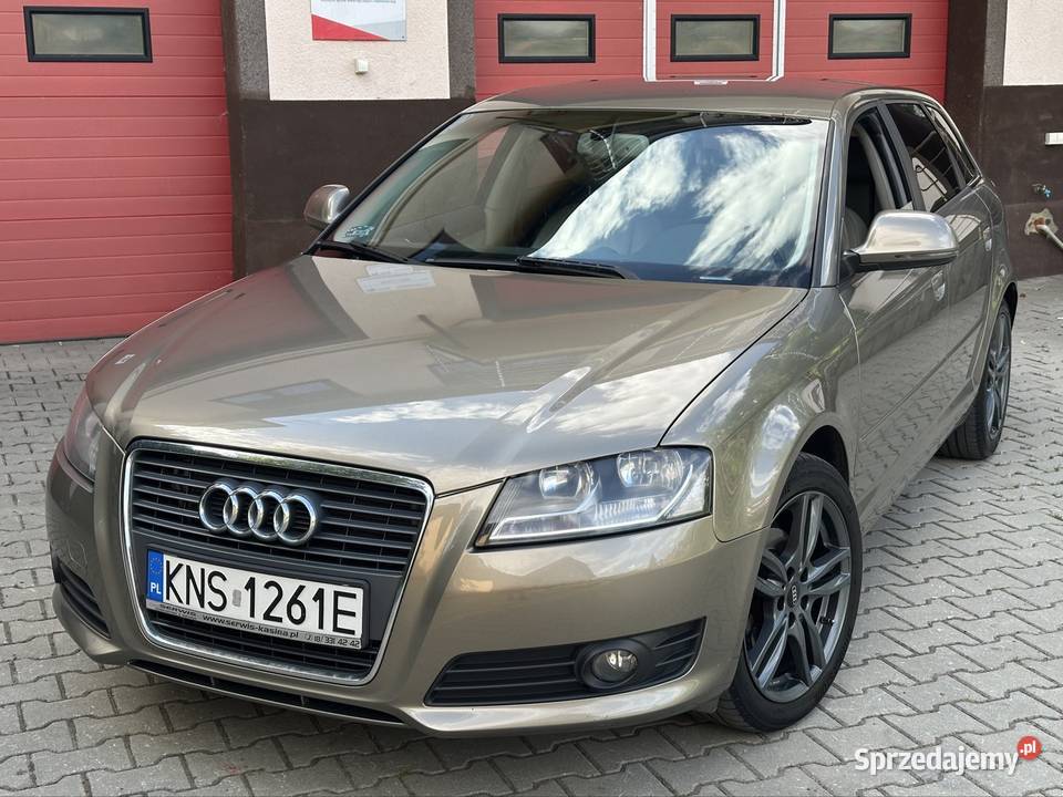 Audi a3 2009 19 tdi 105 lift brązowy Grybów