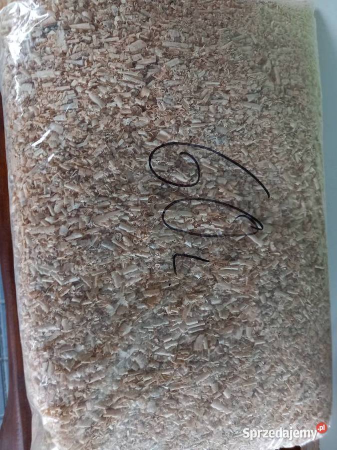 trociny chomika królika Nowe Miasto Lubawskie