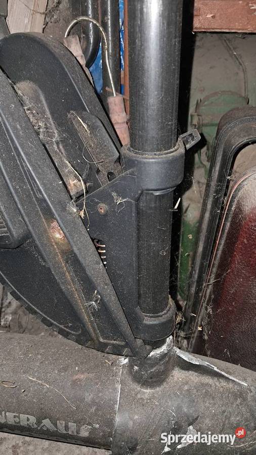 Silnik elektryczny zaburtowy Neraus 55 Katowice