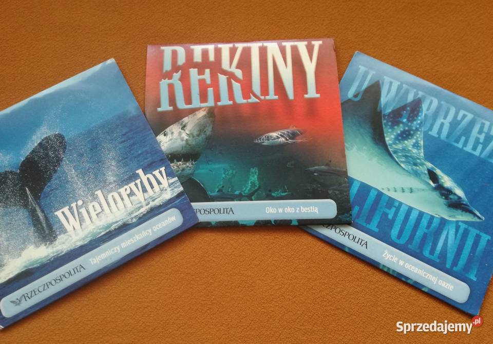 U wybrzeży Kalifornii Rekiny Wieloryby trzy Łódź