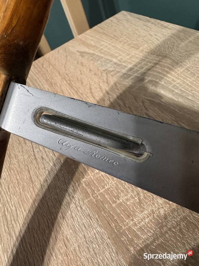 Kierownica Alfa Romeo Hellebore dolnośląskie Lubiąż