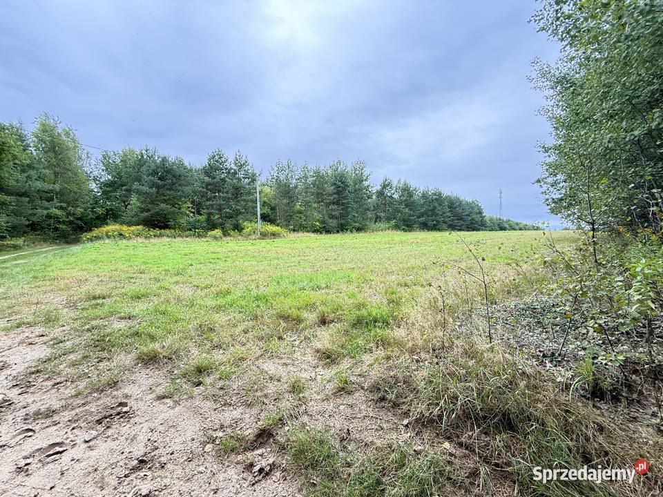 Działka budowlana w Rosanowie wz pozwolenie na Rosanów