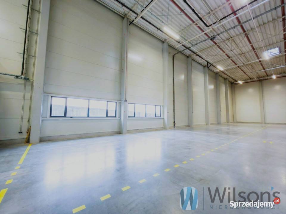 wynajmu lokalu Pruszków 1667m2 Wynajem