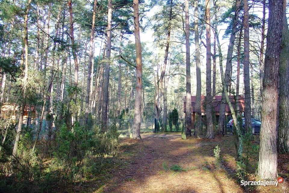 działkę budowlaną w Popowie kSerocka Popowo-Parcele