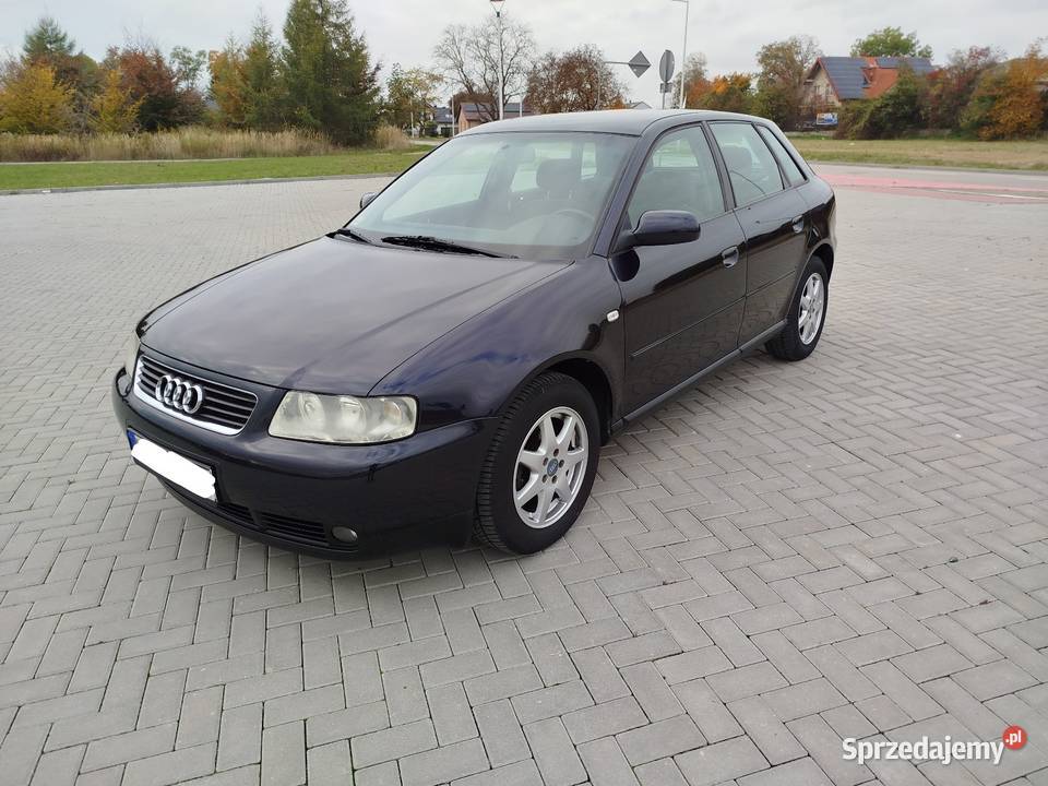 A3 8L 16 Benzyna 2002 wersja 5 DRZWI manualna Świdnik