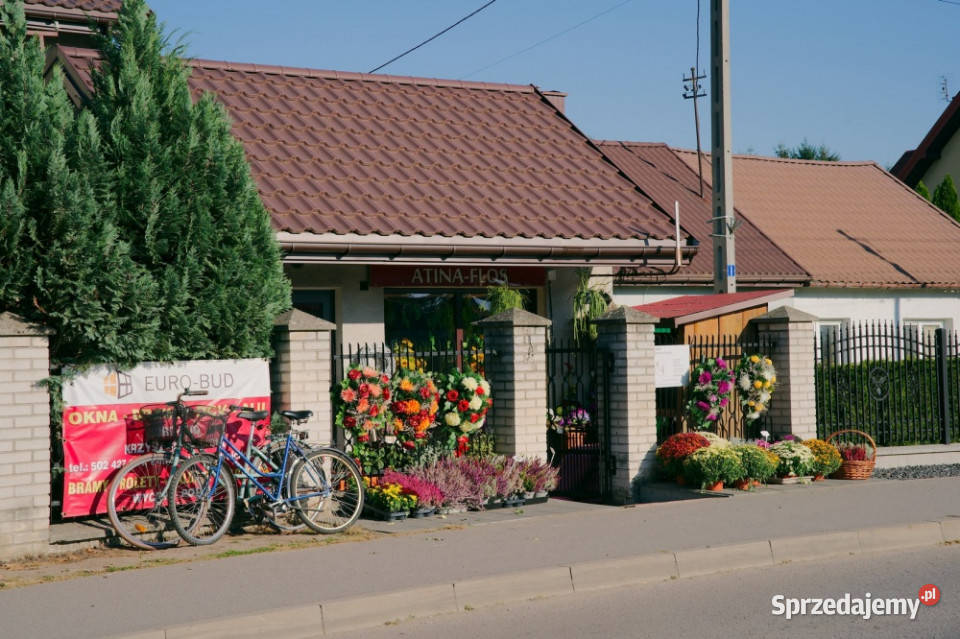Park Handlowy w 100 wynajęty Pepco API Market Warszawa sprzedam