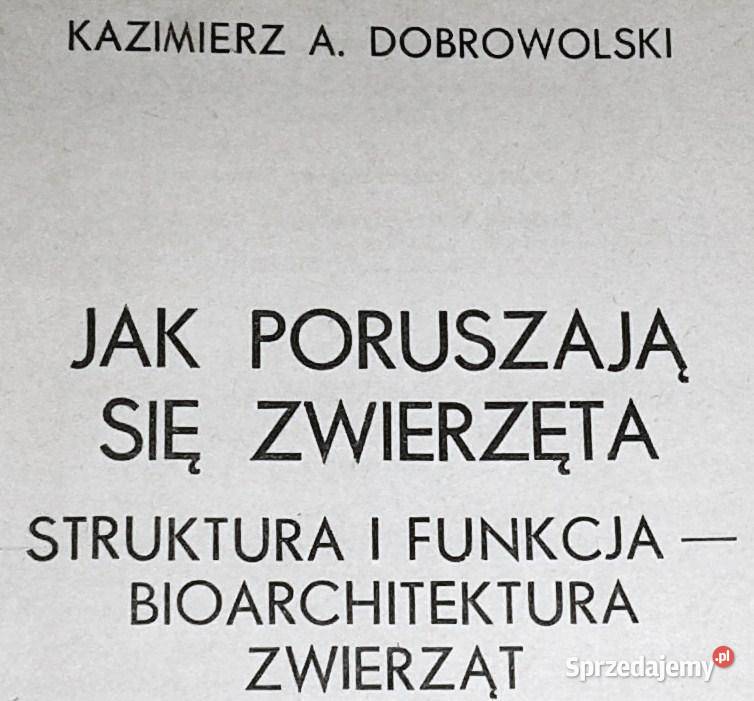poruszają się zwierzęta K A Dobrowolski