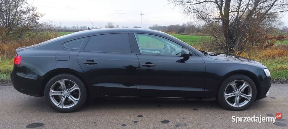 BLACK A5 SPORTBACK 20 TDI 190 BIXENON RADAR 2 isofix Suchy Dąb